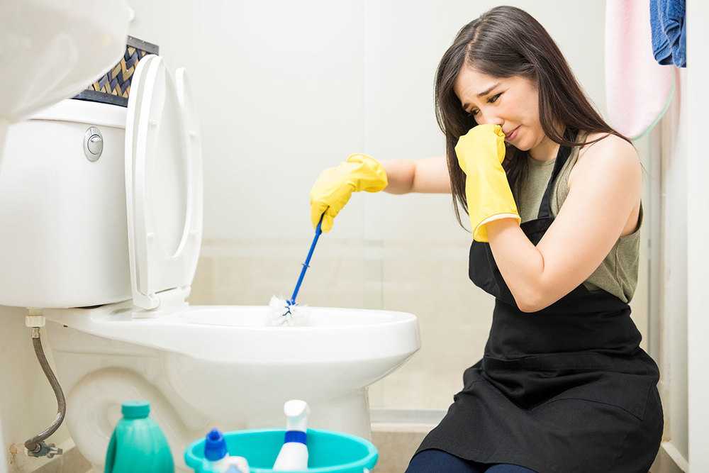 Как устранить неприятный запах из туалета? | cleanipedia.com