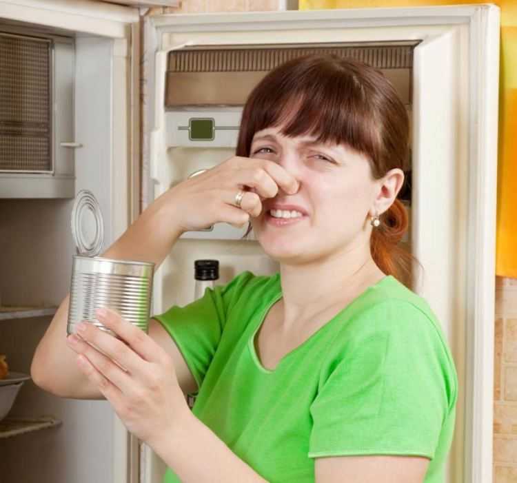 Как убрать запах с ковра: 6 причин появления и 5 способов устранения