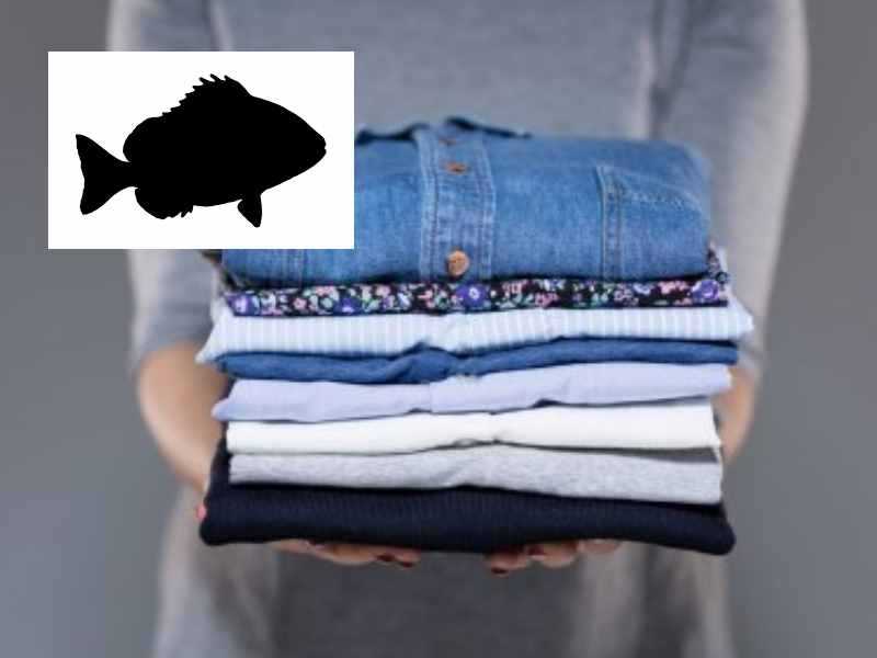 Как избавиться от запаха рыбы: с посуды, помещения, одежды, дивана, рук