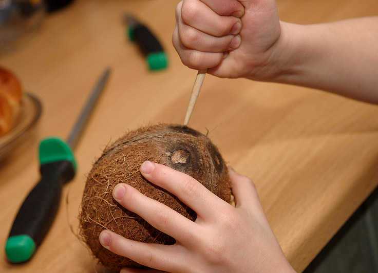 Как почистить кокос в домашних условиях