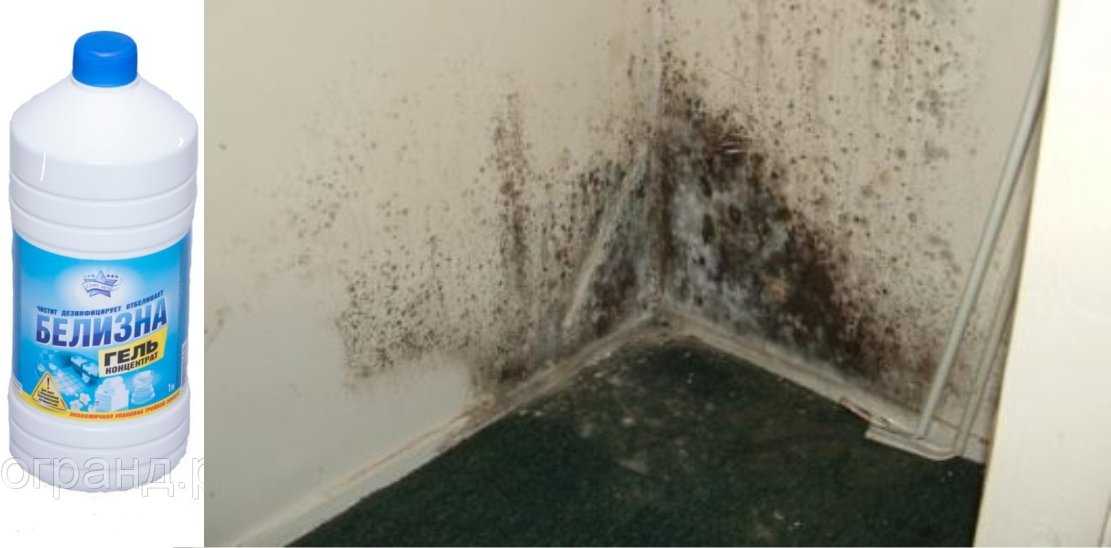Как убрать плесень с обоев на стене в комнате, квартире в домашних условиях своими руками: народные и химические средства по удалению проблемы