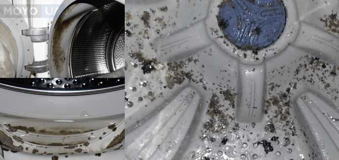 Идеальные способы очистить стиральную машину от плесени – 4 сезона огородника