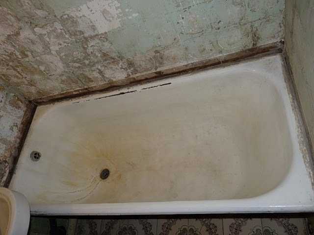 Чёрная плесень в ванной как избавиться - все о канализации