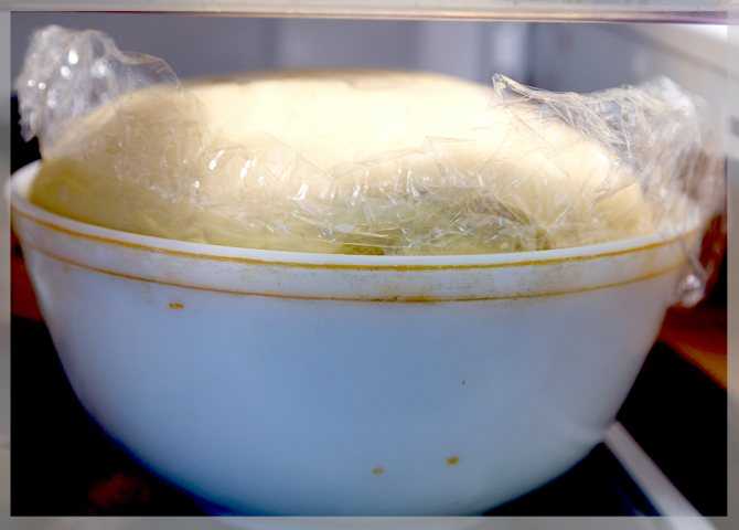 Сколько и как хранить дрожжевое тесто в холодильнике после поднятия