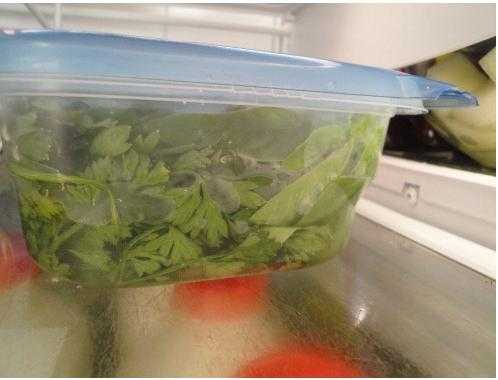 Сушеная зелень. как хранить зелень в холодильнике и в сушеном виде правильно? к таким растениям относятся