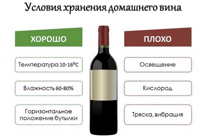 Как хранить домашнее вино, температура хранения вина, можно ли хранить в пластиковых бутылках