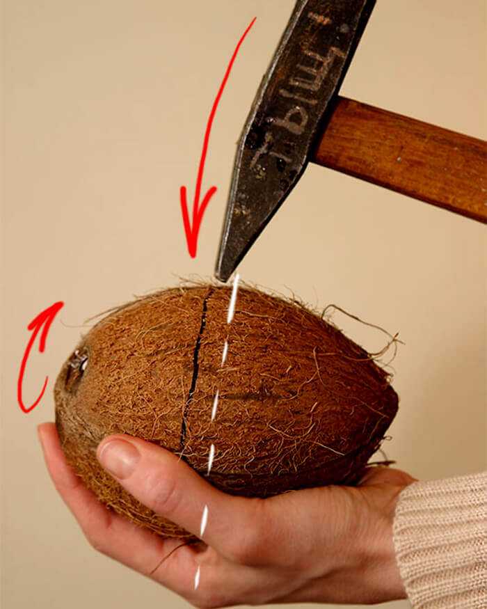 5 способов правильно и быстро очистить кокос — домашние советы