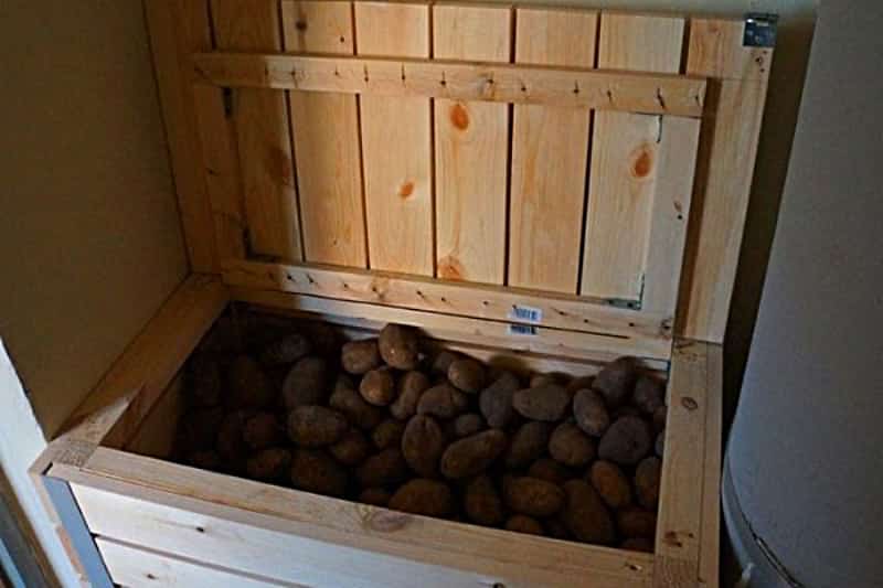 Хотите знать, как правильно хранить картошку в квартире зимой? расскажем!