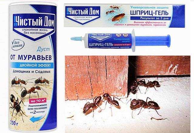 Как избавиться от муравьев в доме: способы, нюансы, рекомендации, цены на препараты