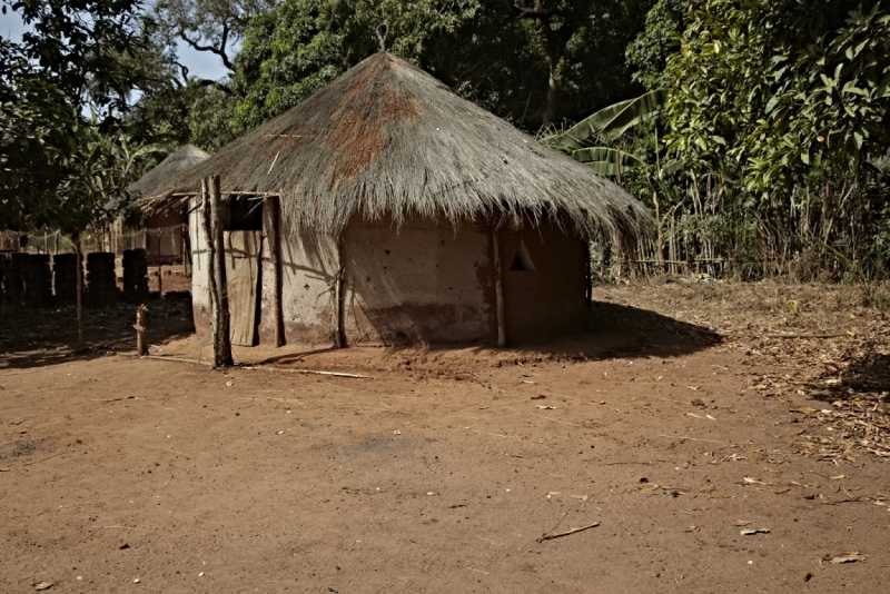 Масаи племя в африке: где живут, интересные факты, история, внешность мужчин и женщин, их жизнь и уклад, проблемы