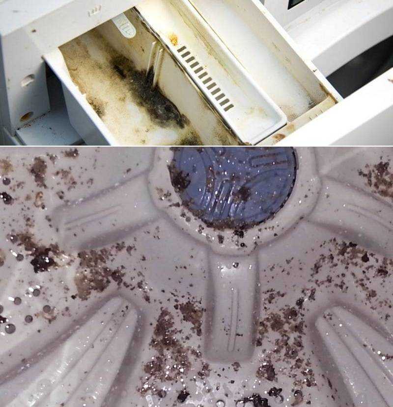 Запах и плесень в стиральной машине 💡 как избавиться: 5 способов чистки в домашних условиях
