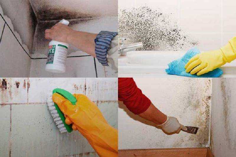 Как быстро убрать запах краски в помещении