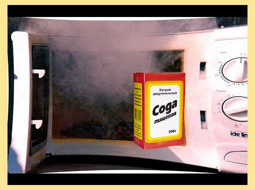Как вывести запах гари из микроволновки в домашних условиях