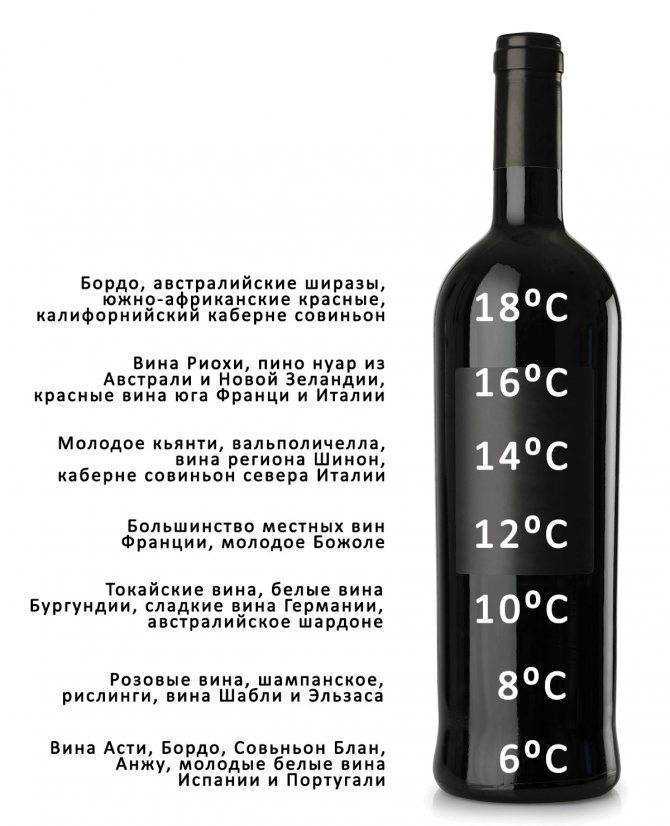 Как хранить вино в домашних условиях в бутылках или бочках - необходимая температура, влажность и освещение