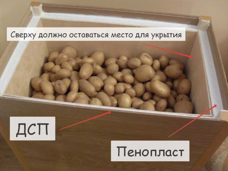 Как хранить картошку зимой на балконе и лоджии