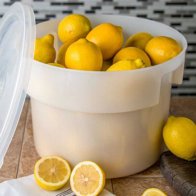 Как хранить лимоны в домашних условиях: способы сохранить в холодильнике, цитрусовые с сахаром в банке