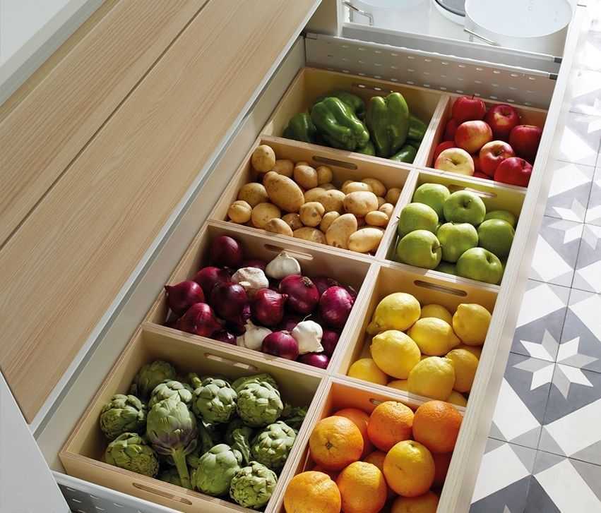 Как хранить свежие огурцы в холодильнике, морозилке, в подвале + отзывы