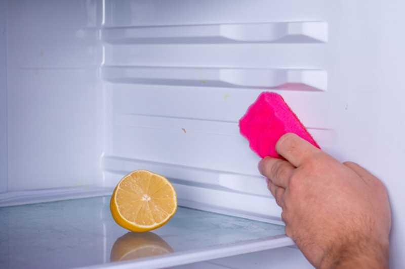 Средства для мытья холодильника внутри от запаха: обзор продукции для удаления загрязнений и устранения неприятных ароматов