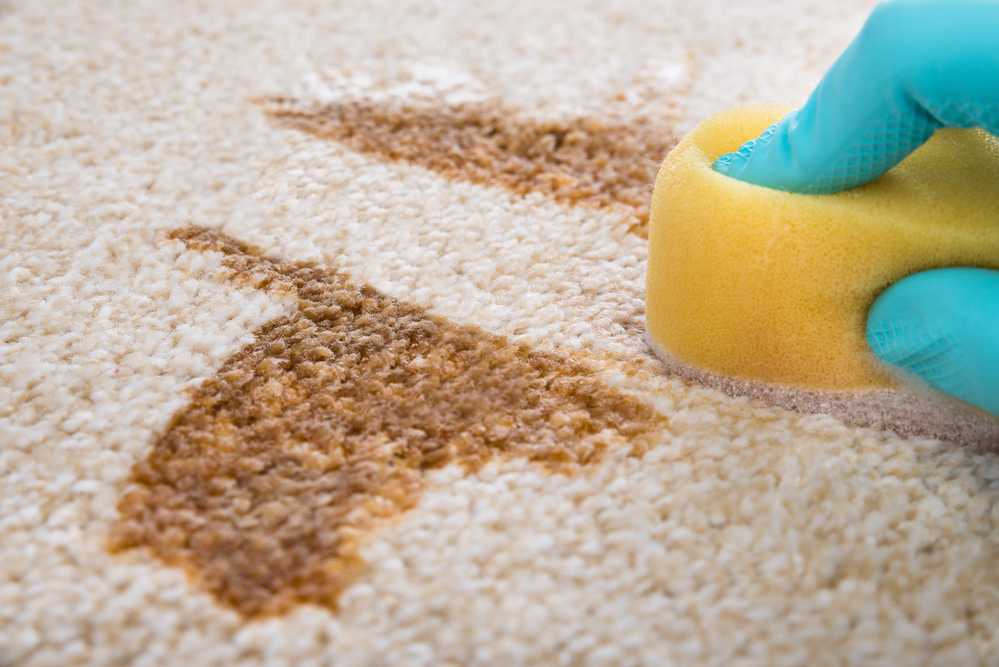 Как почистить ковёр содой