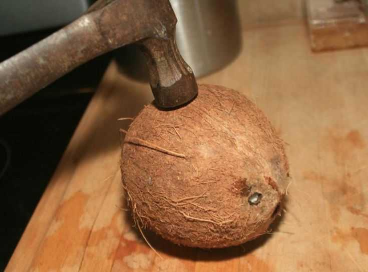 Как раскрыть кокос. как открыть кокос в домашних условиях