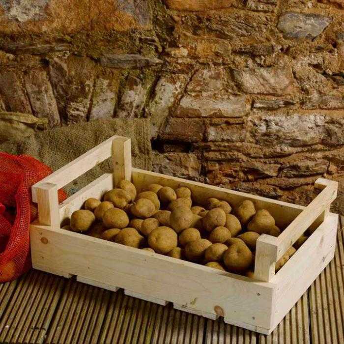 Температура хранения картофеля должна быть в пределах 2-4 градуса тепла, а идеальная влажность 86-90%. При хранении картофель должен хорошо вентилироваться.