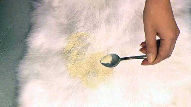 Чтобы почистить мех песца в домашних условиях от желтизны, можно использовать перекись водорода, крахмал. От жирных пятен поможет избавиться соль.