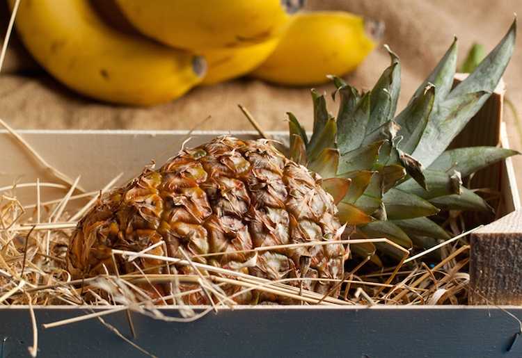 Чтобы подольше сохранить разрезанный ананас, нужно его сложить в бумажный пакет с дырочками и хранить в холодильнике, переворачивая на разные стороны.