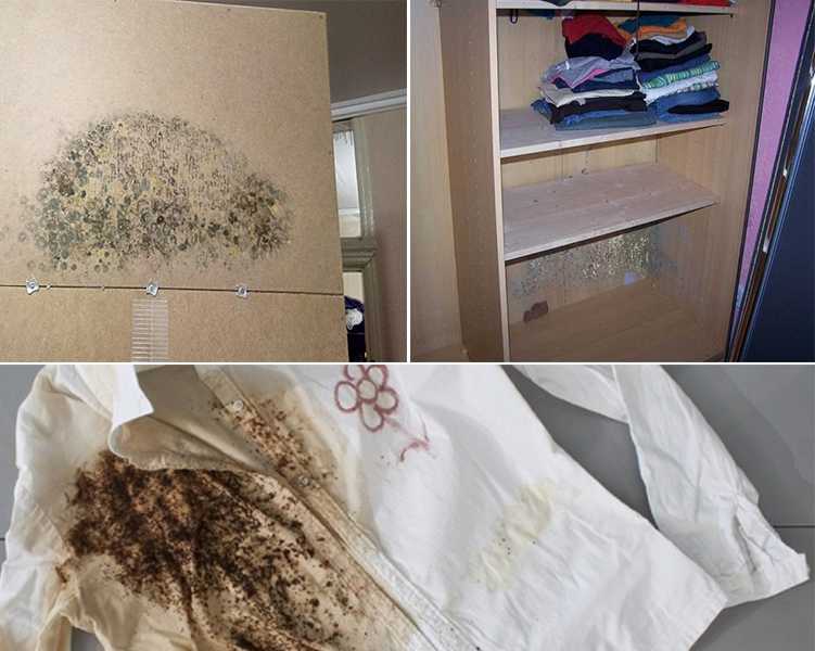 Как отстирать черные точки от плесени на ткани в домашних условиях