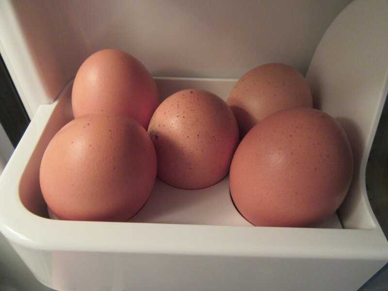 Мытое яйцо. Хранение яиц. Мойка яиц. Надо ли мыть яйца перед варкой. Можно мыть яйца для хранения