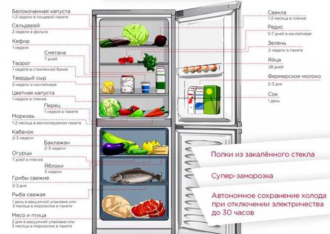 Хранение мяса в холодильнике и в морозилке – нормы, сроки