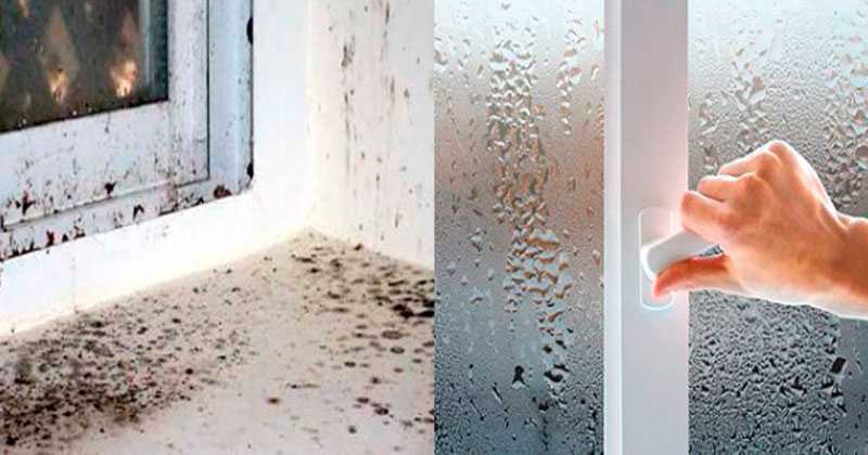 Как понизить влажность воздуха в помещении и в квартире