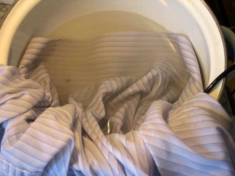 Как отстирать плесень с ткани в домашних условиях – способы