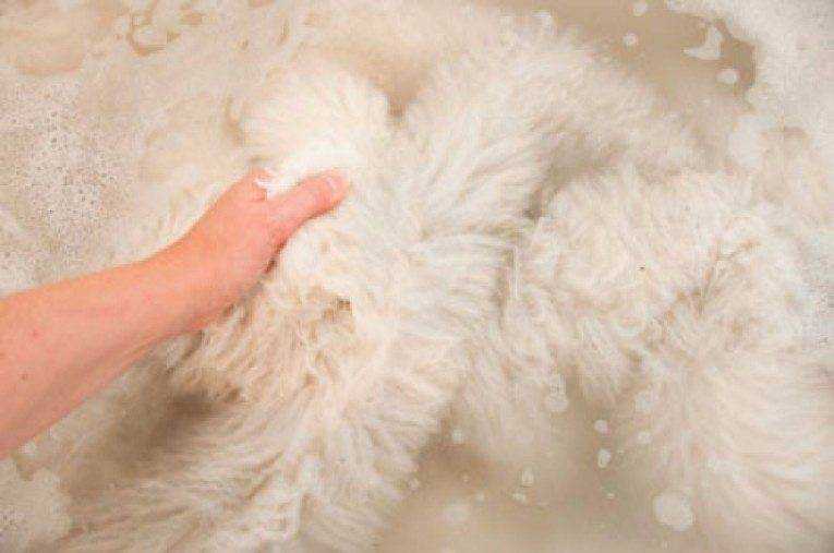 Как почистить мех в домашних условиях подручными средствами и не испортить его
