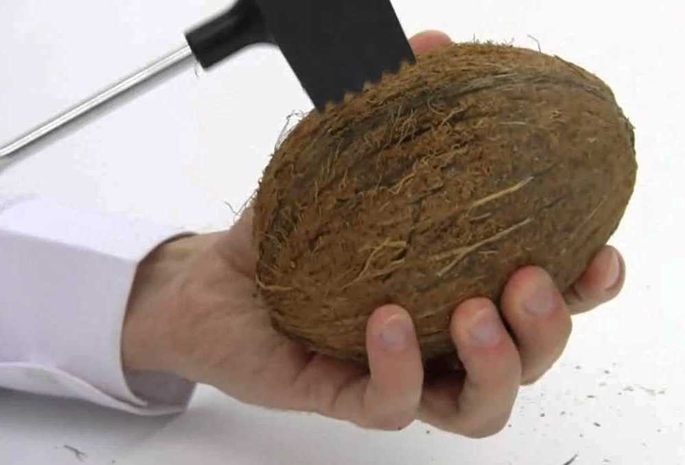 5 способов правильно и быстро очистить кокос