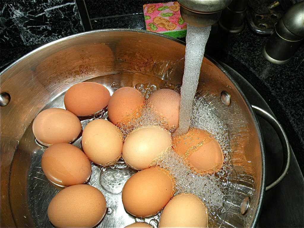 Теплые яички. Мытье яиц. Отваривание яиц. Яйца в кастрюле. Мойка яиц.