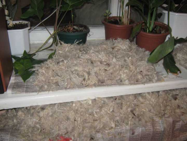 Как постирать подушку из пера, пуха, синтепона, холлофайбера и бамбука в домашних условиях в машинке?