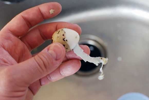 Снять скорлупу и не разозлиться: почему яйца плохо чистятся? (4 фото)