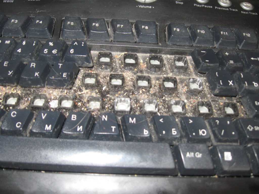Как правильно почистить ноутбук или компьютер от пыли