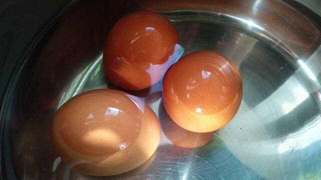 Можно мыть яйца для хранения. Мытые яйца. Яйца домашние грязные. Мыть яйца. Надо ли мыть яйца перед варкой.