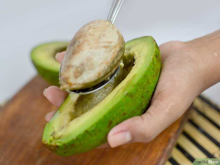 Как хранить авокадо в домашних условиях. как выбрать спелый плод.
