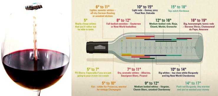 Как хранить вино открытое или домашнее: температура, сроки, условия
