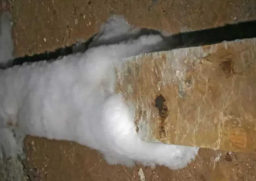 Как вывести грибок в подполье деревянного дома народными средствами быстро