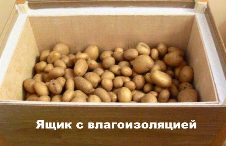 Хранилища для картофеля