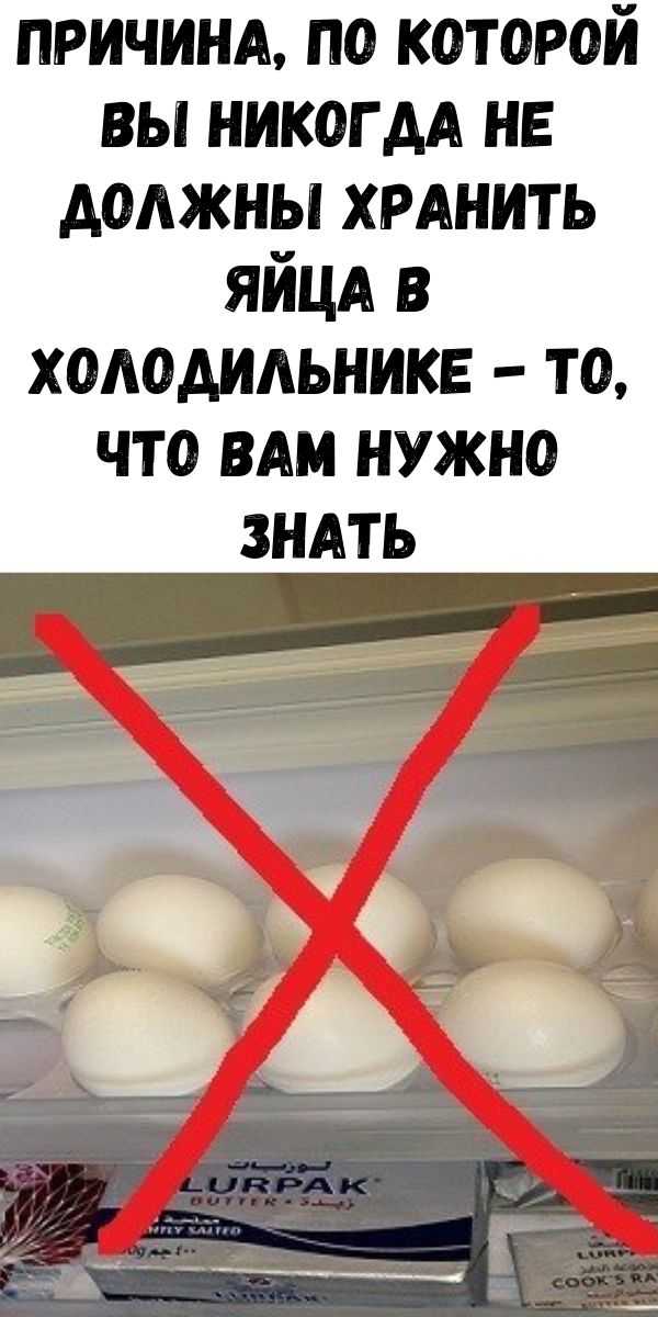 Способы хранения яиц без холодильника, как хранить яйца без холодильника, при какой температуре