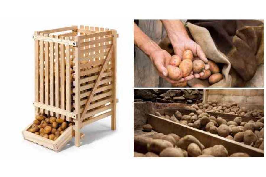Правильное хранение картофеля на зиму