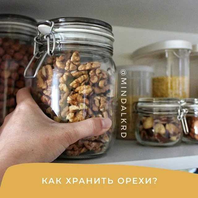 Как хранить грецкие орехи в скорлупе и очищенные, сколько длится их срок годности в домашних условиях?