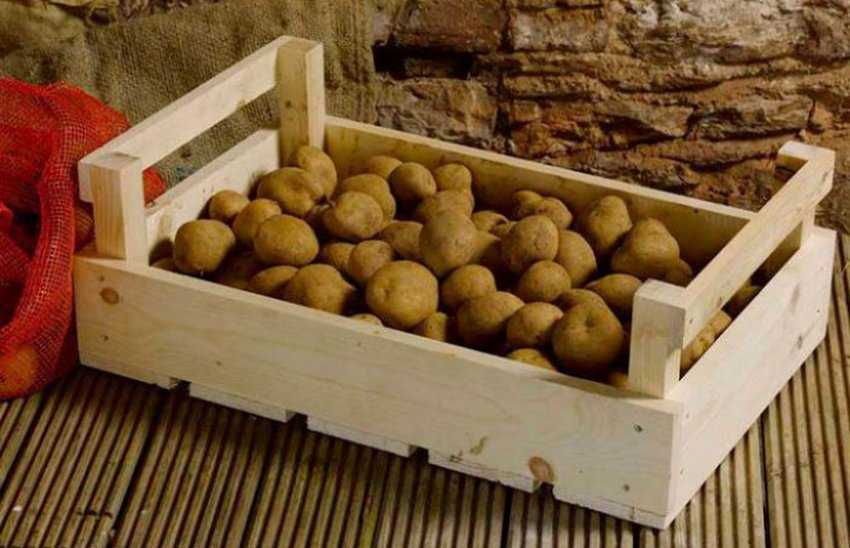 Как хранить картофель в домашних условиях