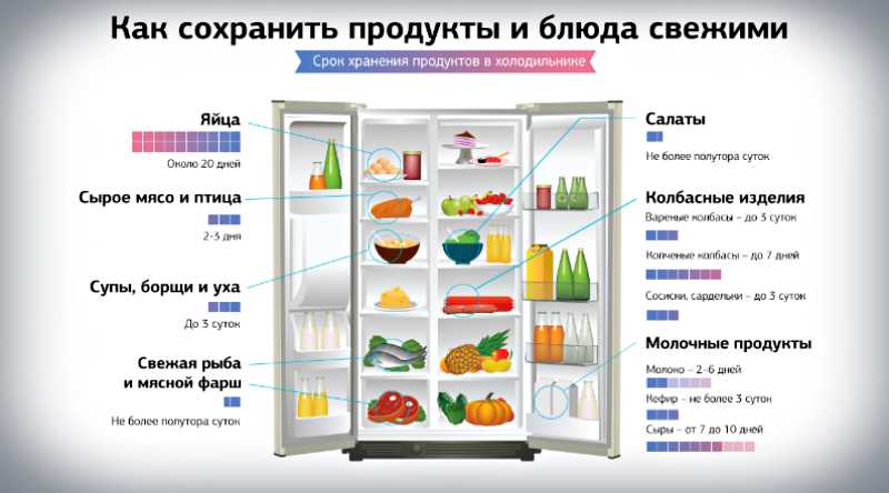 Сколько мясо может храниться в морозилке и в холодильнике?