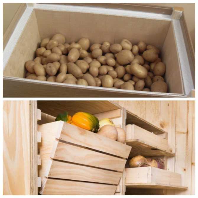 Как хранить картошку в квартире: где и в чем держать овощ зимой в домашних условиях, в том числе как правильно складировать его на кухне и в других помещениях?