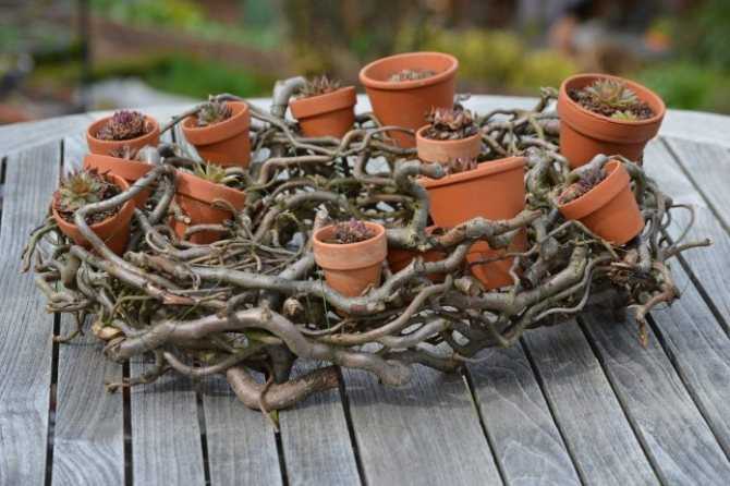 Домик из пня: как сделать дом для гномиков из пенька своими руками в саду? оформление старого пня дерева на даче